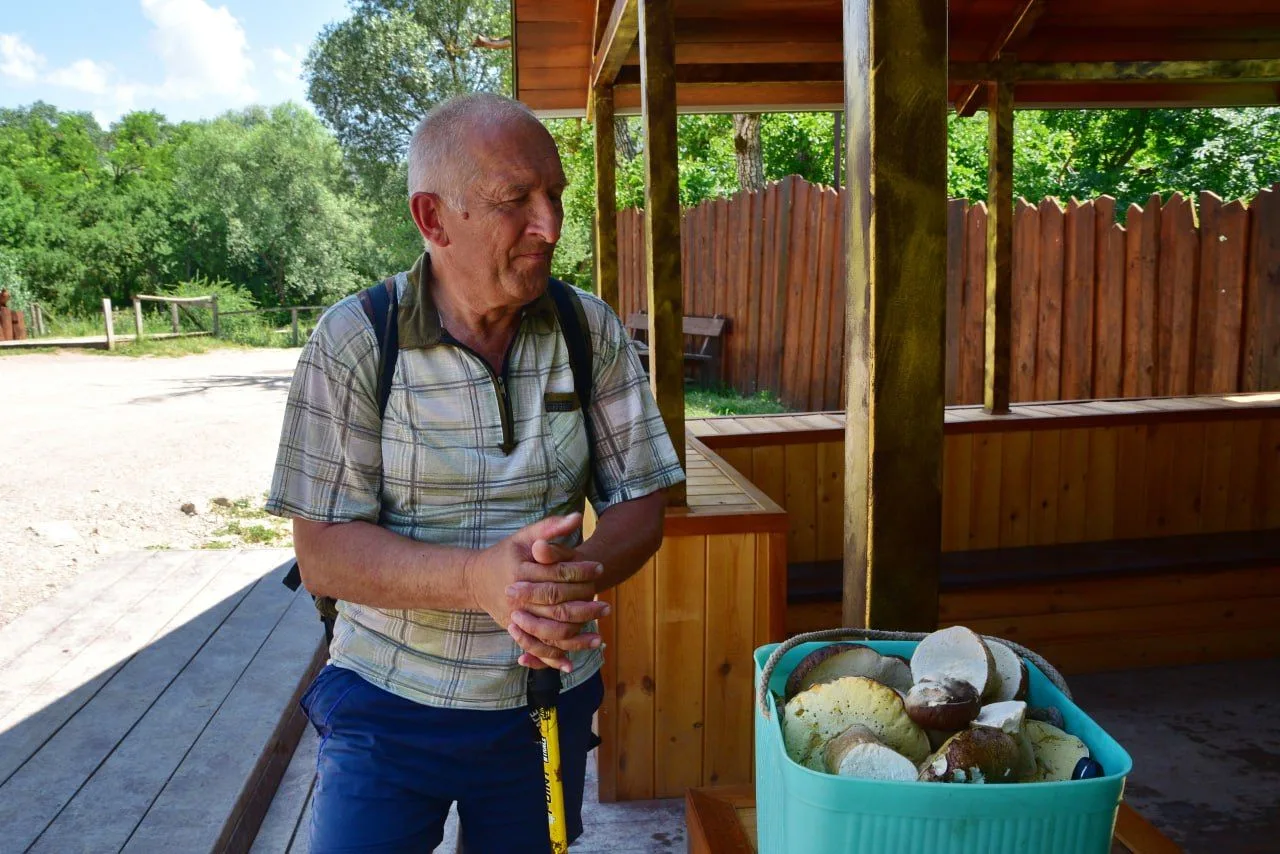 🍄 Где в Крыму искать грибы на этих выходных?