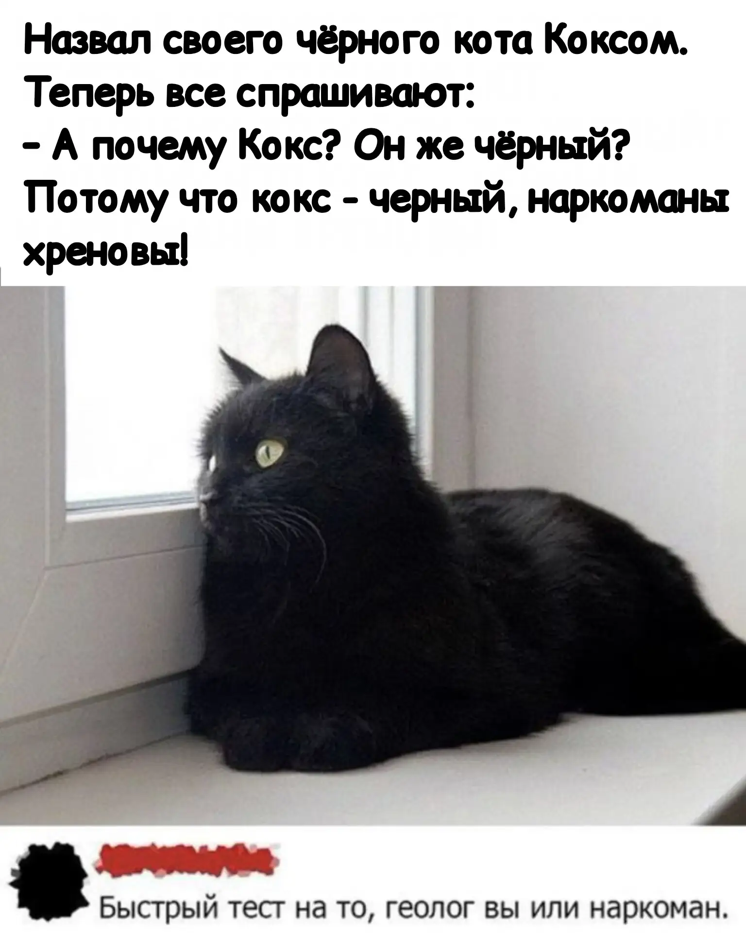 Любой кот таит в себе какой-то подвох :)) Согласны?!