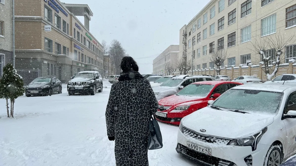 📌Снегопады могут прийти в Кировскую область уже в начале октября.