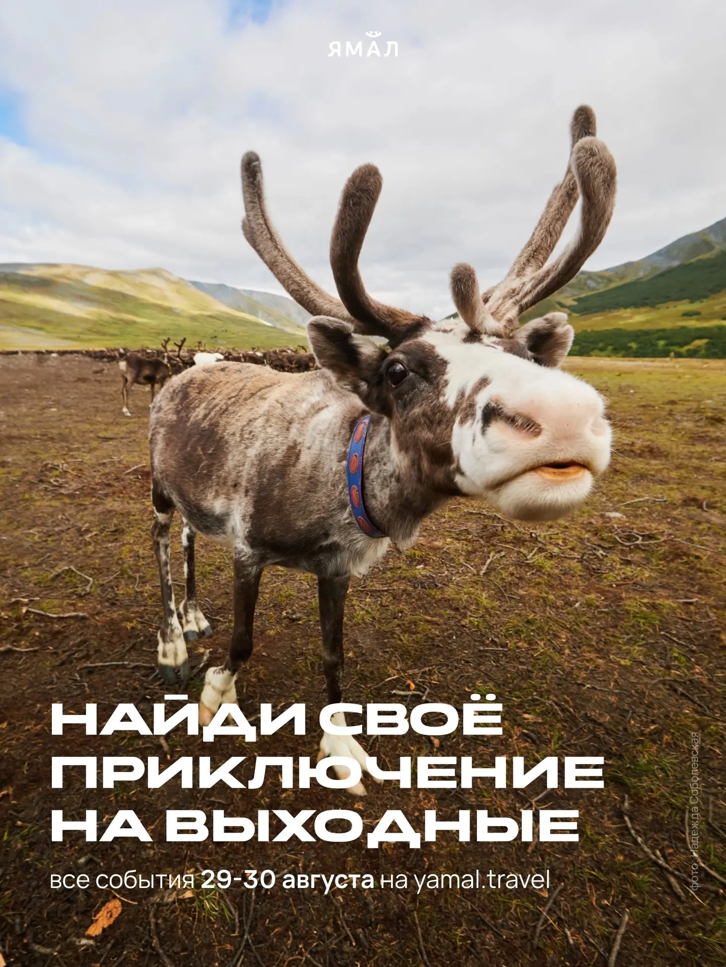 Берём курс на осень! 🍁