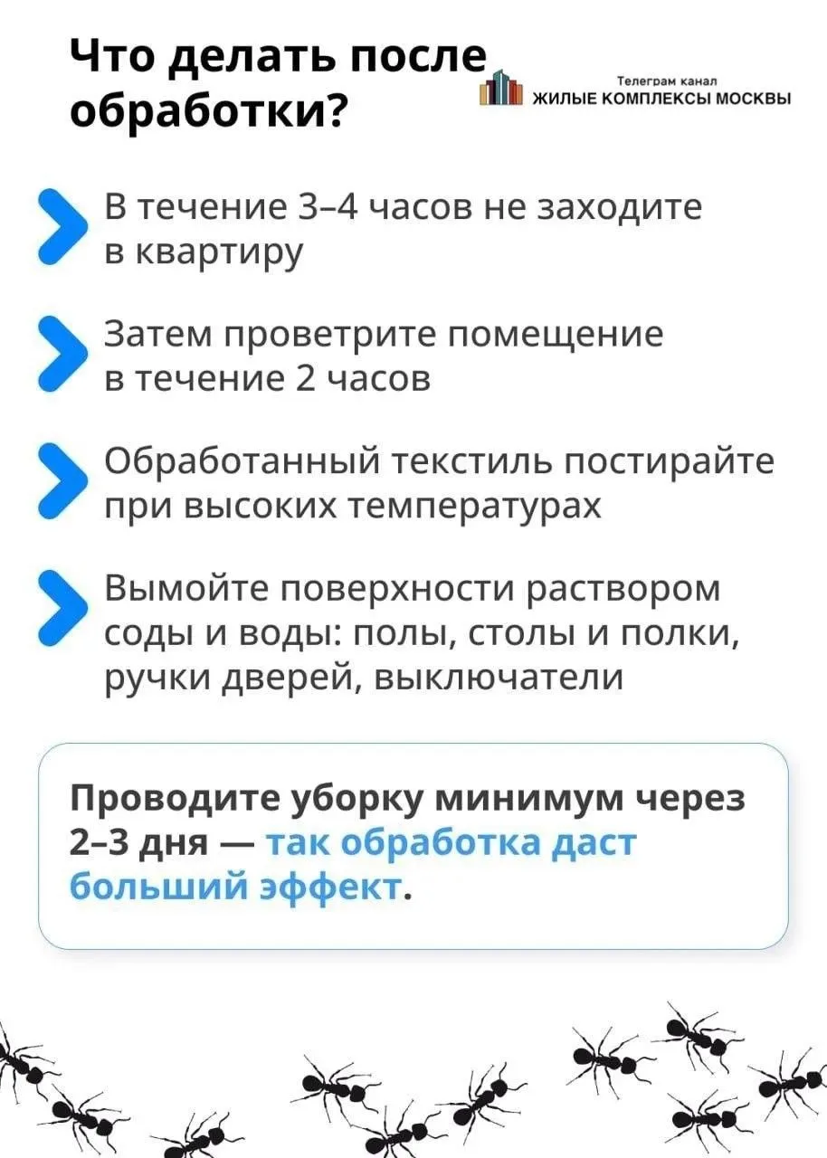 ☯️Про тараканов  ‼️Заметили таракана на лестничной клетке или в квартире?  ⚪️Насекомые в доме — сюрп