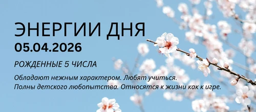 🌿 День движения, гибкости и новых возможностей