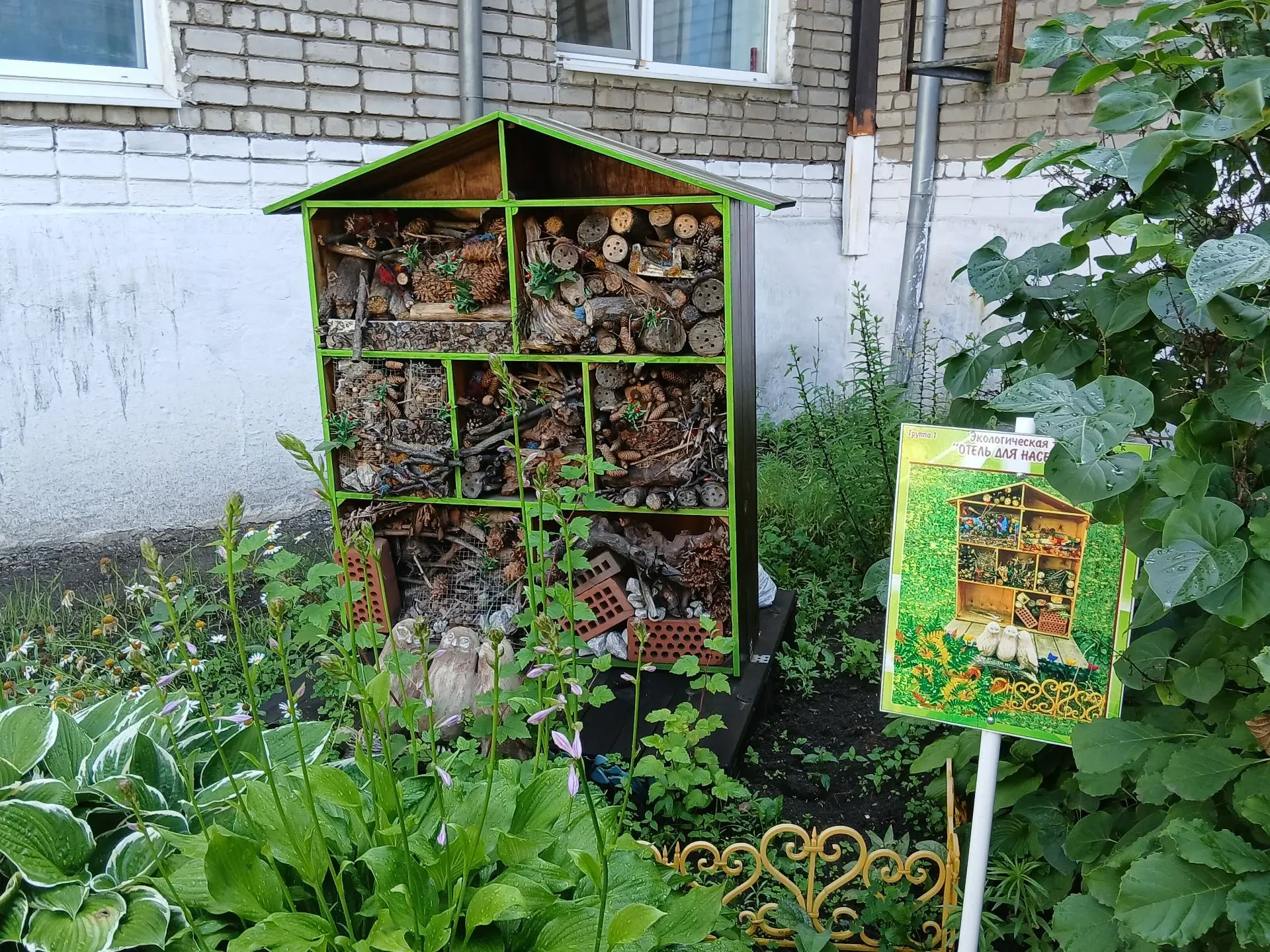 Отель для насекомых: Мы заглянули в домик для жучков и паучков. Поговорили о том, как важны эти мале