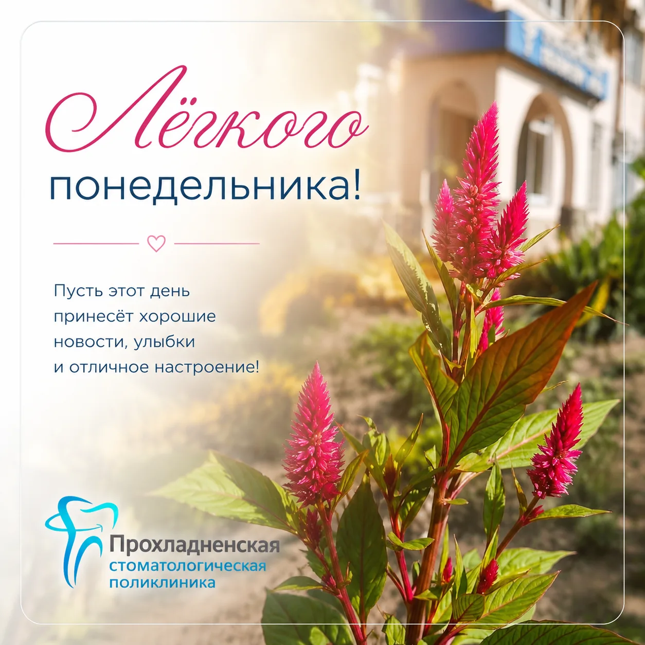 🌸 Новая неделя — отличный повод сделать что-то хорошее для себя. Пусть она будет наполнена энергией
