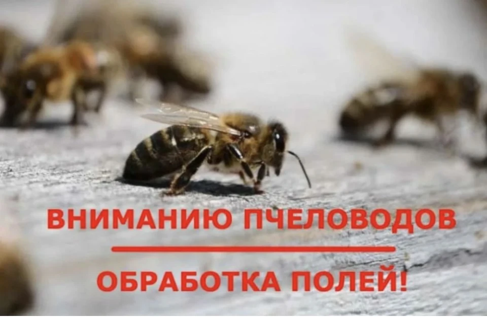 Уважаемые жители сёл Подлесное, Копышовка, Тагай, Чирикеево!