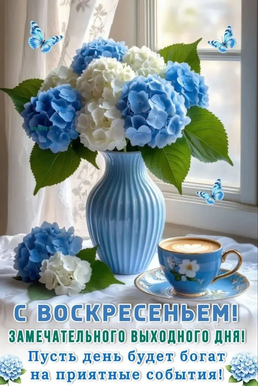 Ставь 👍, если нравится открытка и делись с близкими!