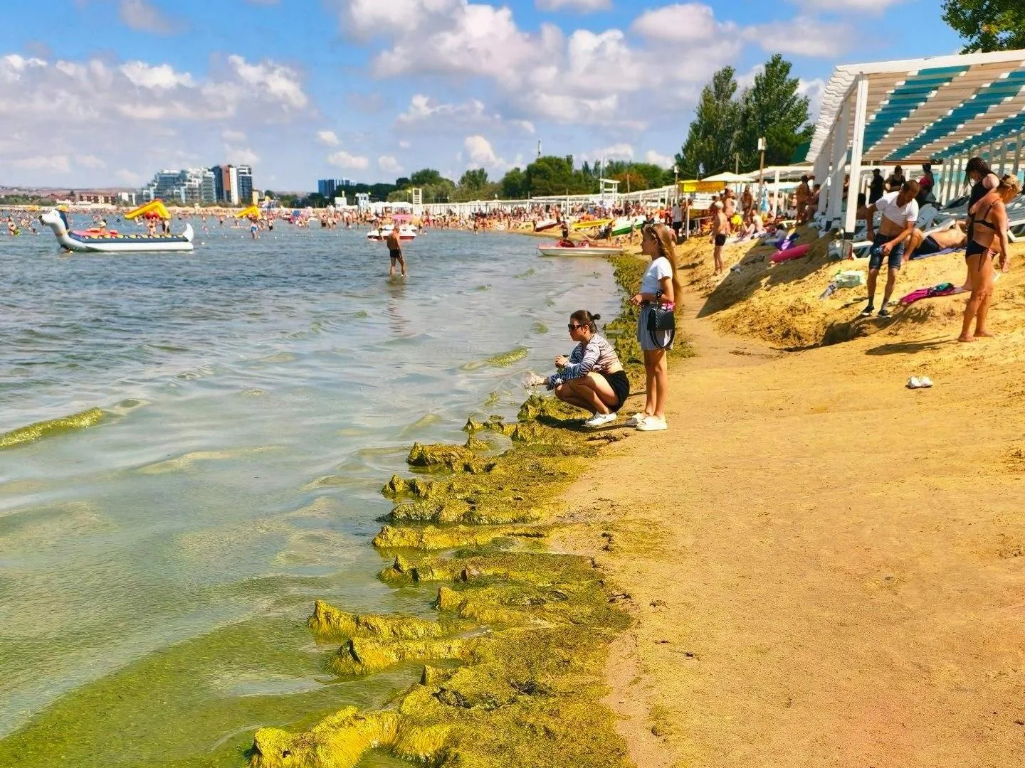 Зеленая жижа, запах и другие подводные камни отдыха в Анапе. Отзыв об отпуске, который ...