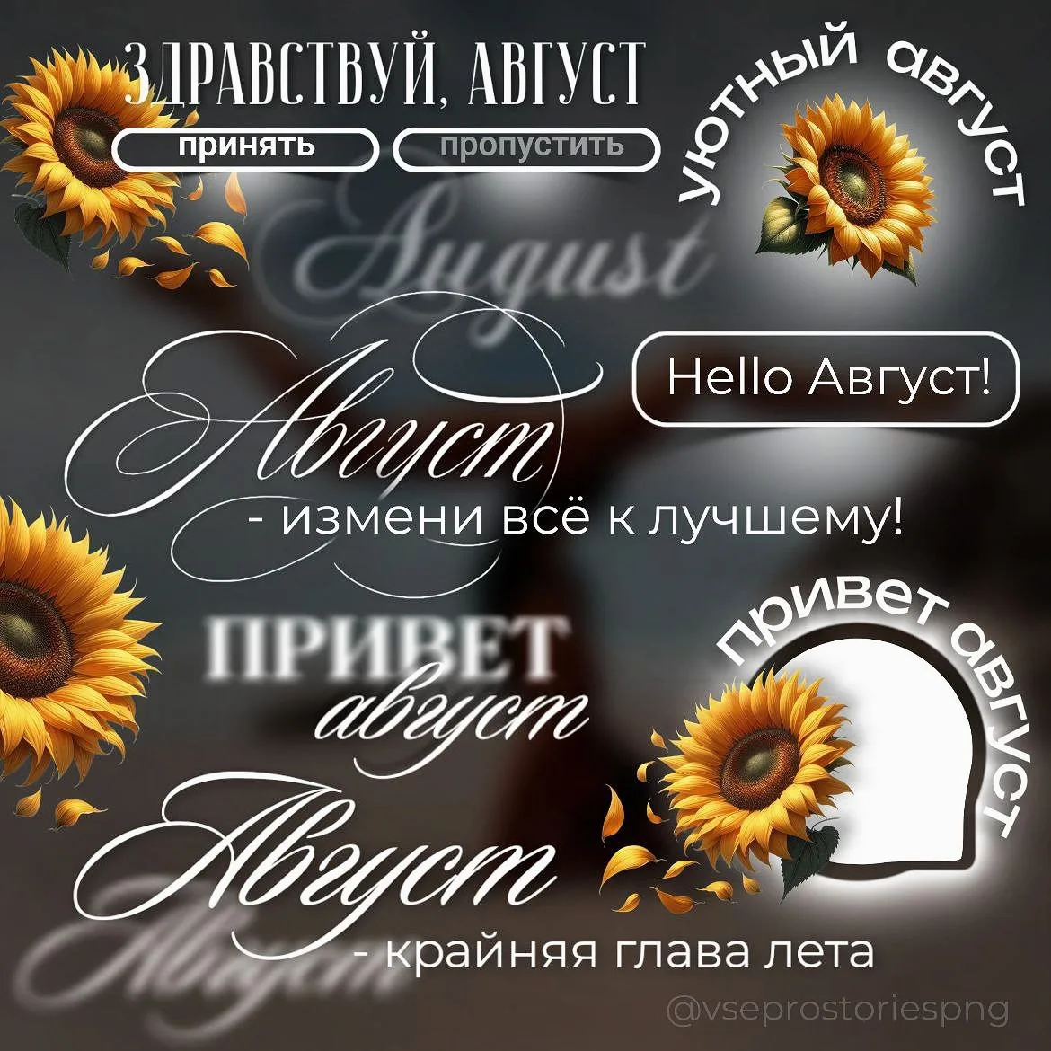 Август - это ты? 
Я не знаю куда так летит время, морально я не готова к осени 😂 
Кстати стикеры с 