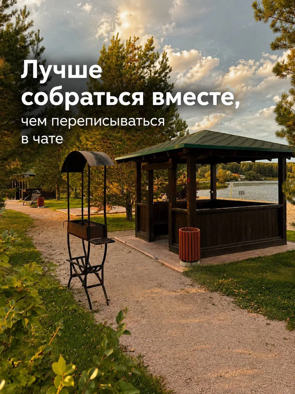 А где вам лучше? 🌲