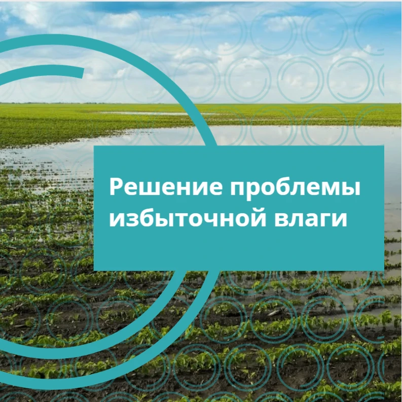 💦Из-за избыточной влаги в полях возникают две ключевые проблемы: