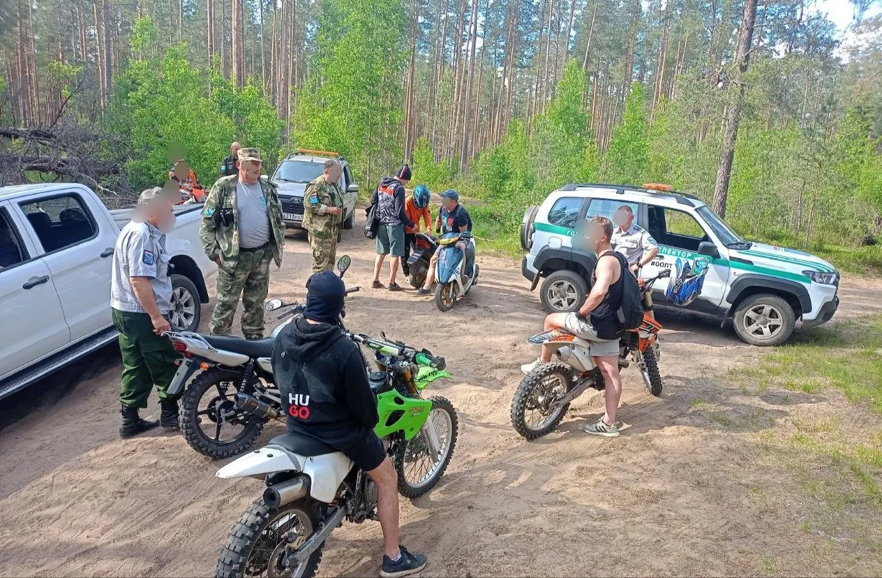 За выходные в природных заказниках Ленобласти составили 56 протоколов

▪️Наиболее частыми нарушениям
