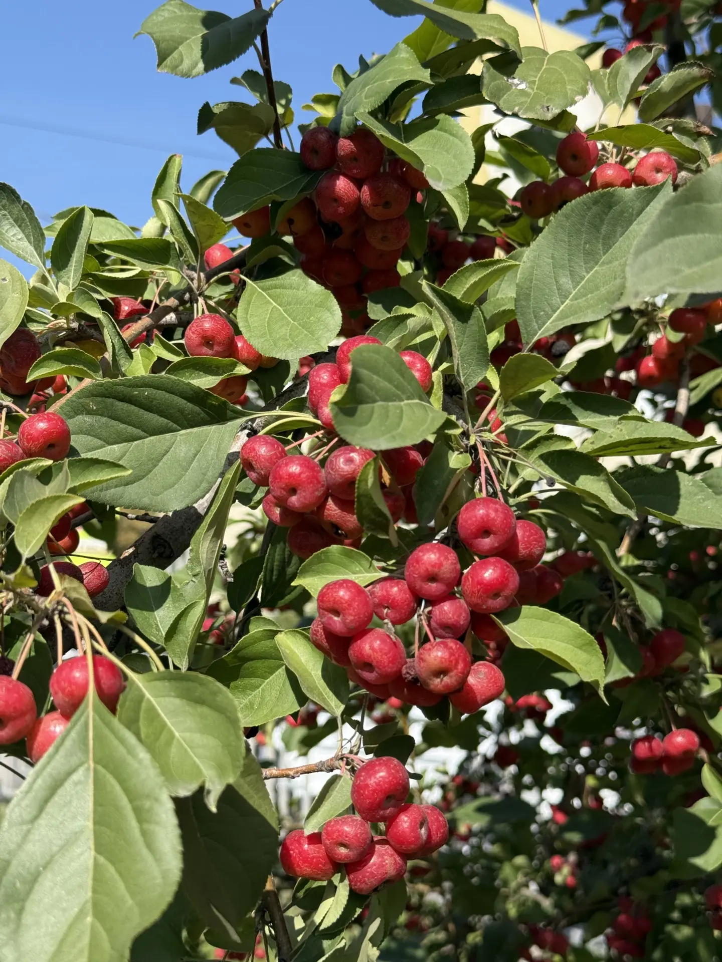 ☀️Начнем день с прогноза погоды