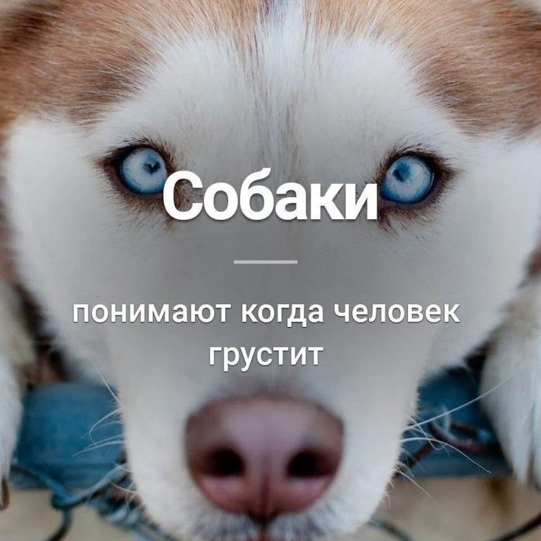 Признавайтесь, знали?