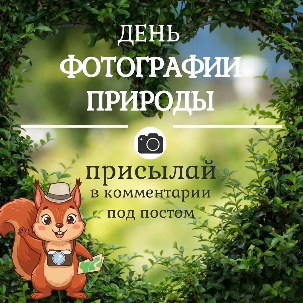 🌍✨ Мир сквозь объектив: встречаем День фотографии природы!