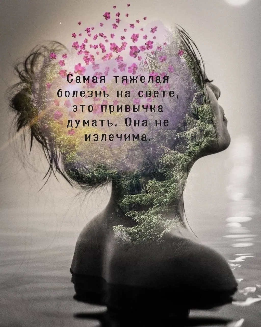 Смысл в каждой фразе — Подпишись