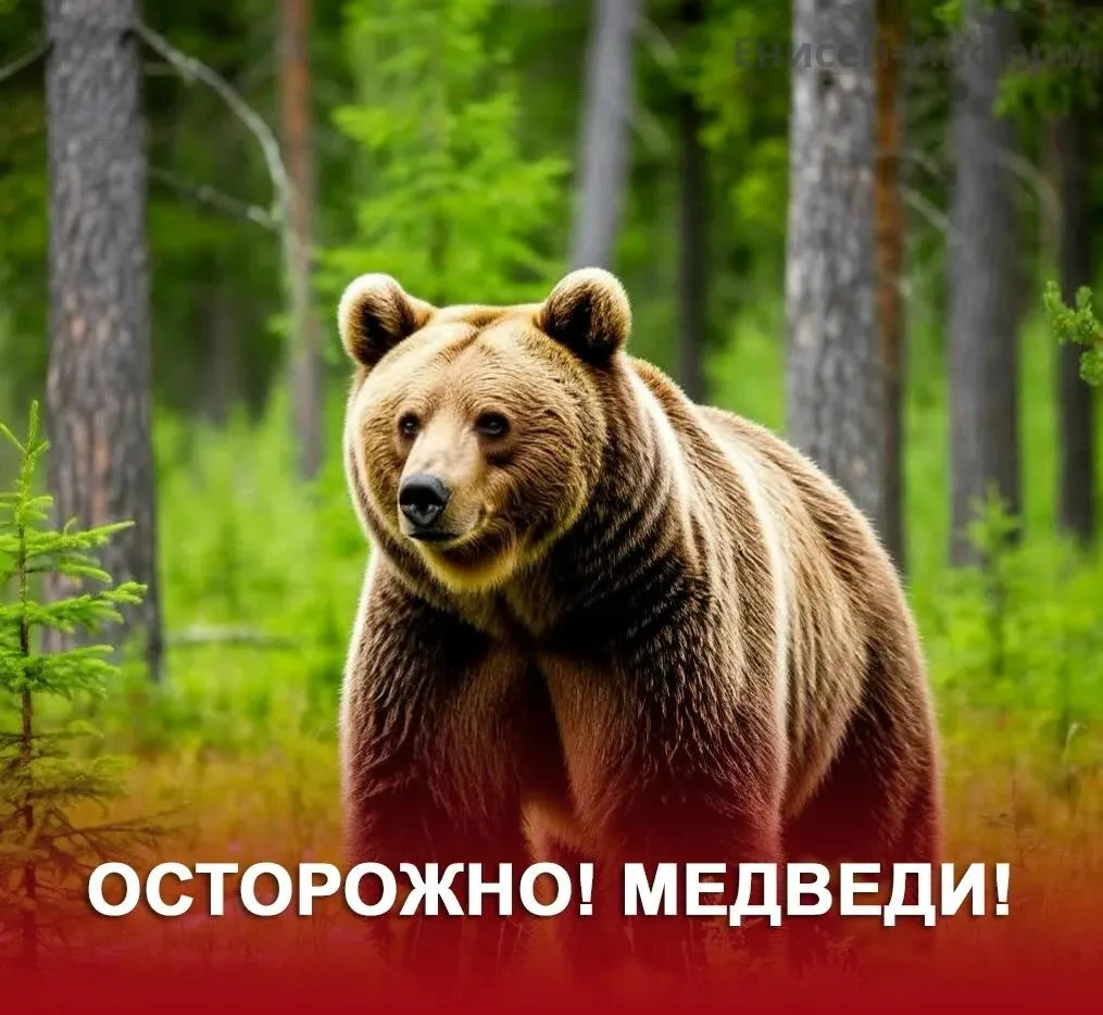 За последние сутки в Единую дежурно-диспетчерскую службу Енисейского округа поступило ш...