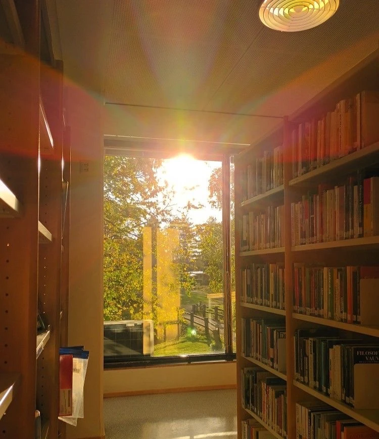 ☀️ Чем заняться летом?
идея 17 

📚 Сходи в библиотеку

Лето — отличное время, чтобы открыть для себ