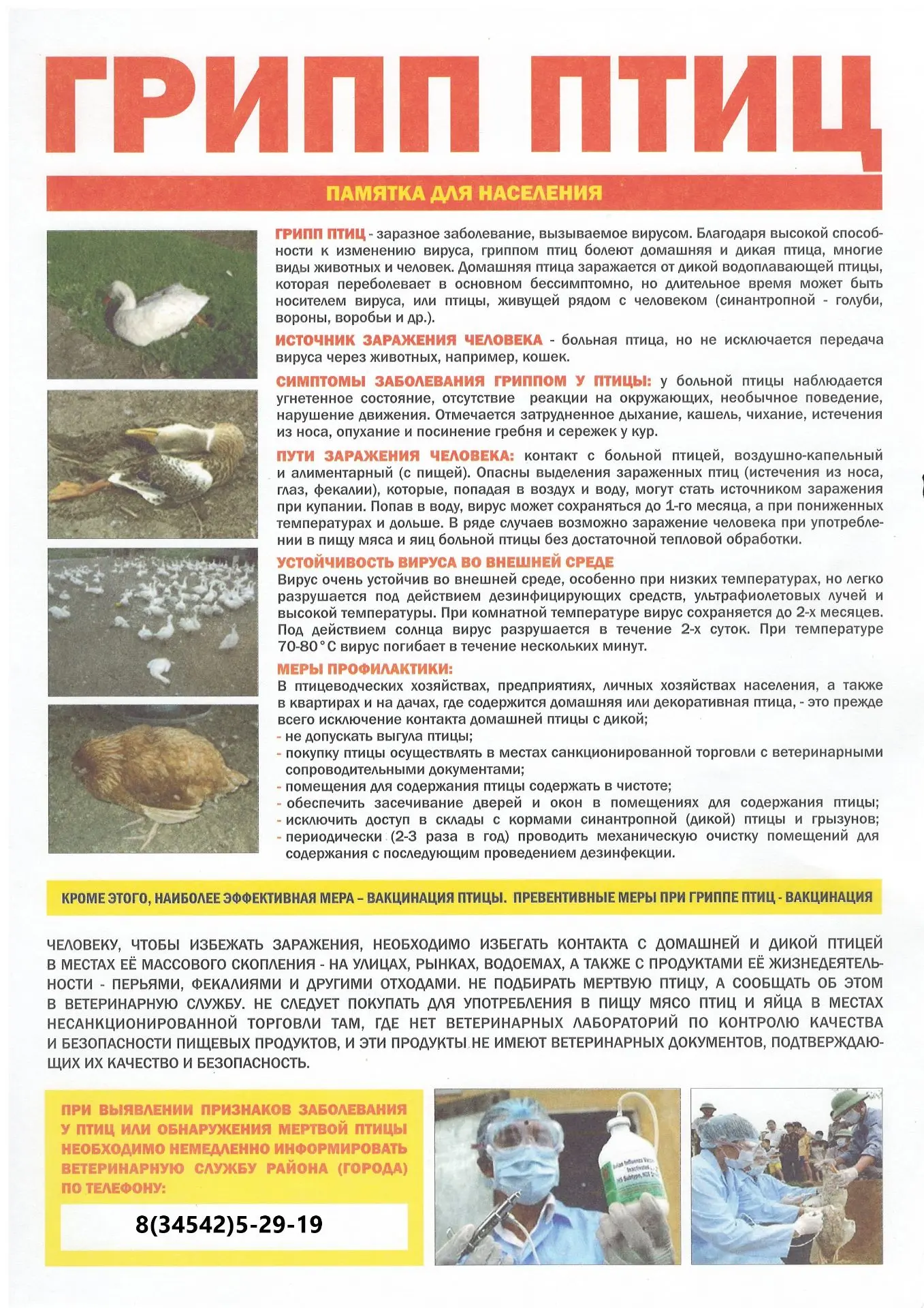 📌ПАМЯТКА ДЛЯ НАСЕЛЕНИЯ ПО ПТИЧЬЕМУ ГРИППУ