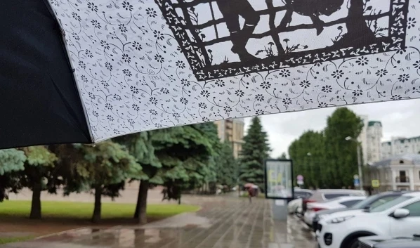 Дожди почти каждый день: какой будет погода в Воронеже на неделе с 22 по 28 июня