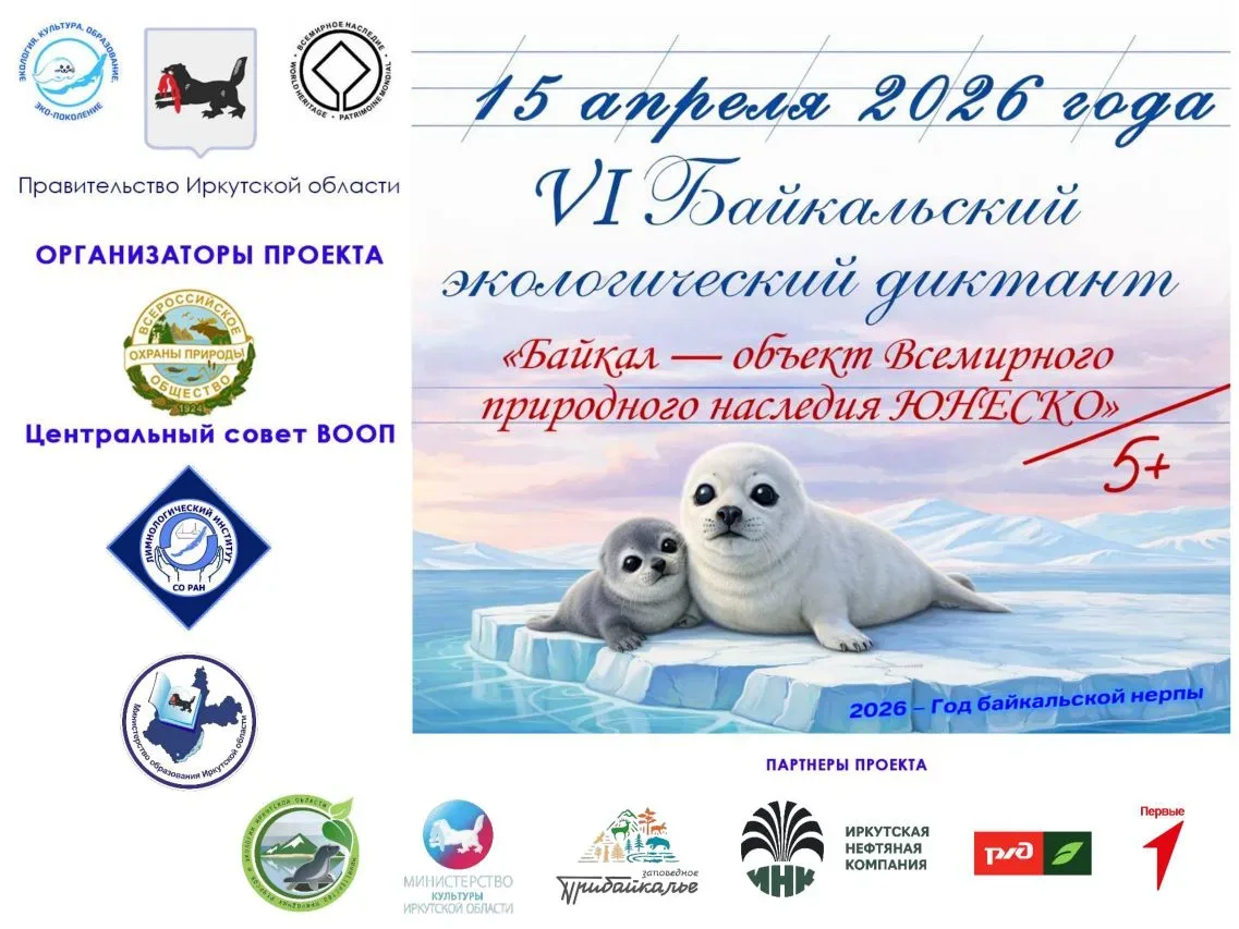 🌊 Внимание, дорогие друзья!