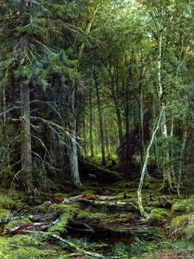 Иван Шишкин «Лесная глушь», 1872 год