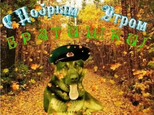 ★ Бодрого утра, ребята и девчата пограничники!