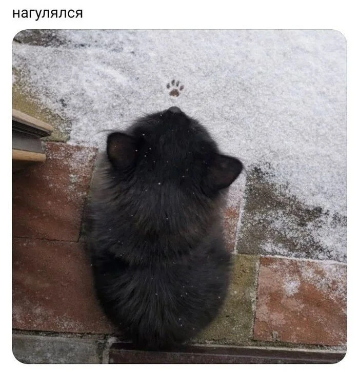 Первый мокрый снег в Татарстане прогнозируют уже на этой неделе. В республику придет хо...
