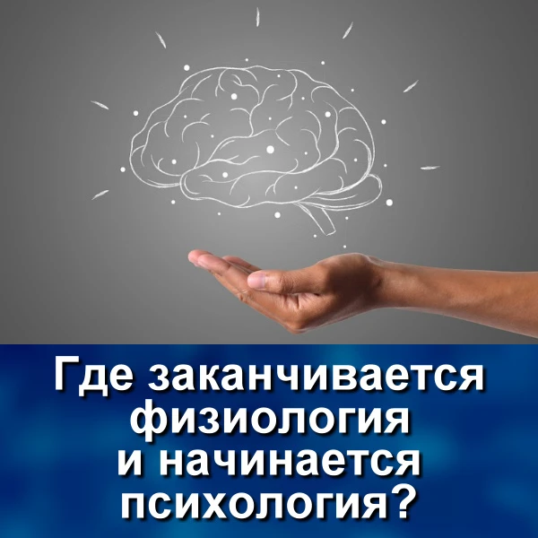 Интересный вопрос - где заканчивается физиология и начинается психология? Правильный от...