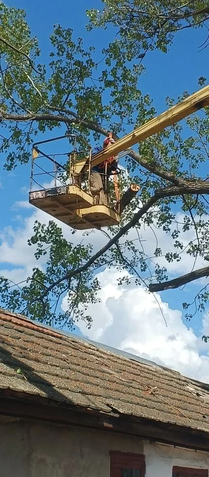 🌳 Работники МБУ Центр "Благоустройства" проводят мероприятия по кронированию и спилу аварийно-опасны