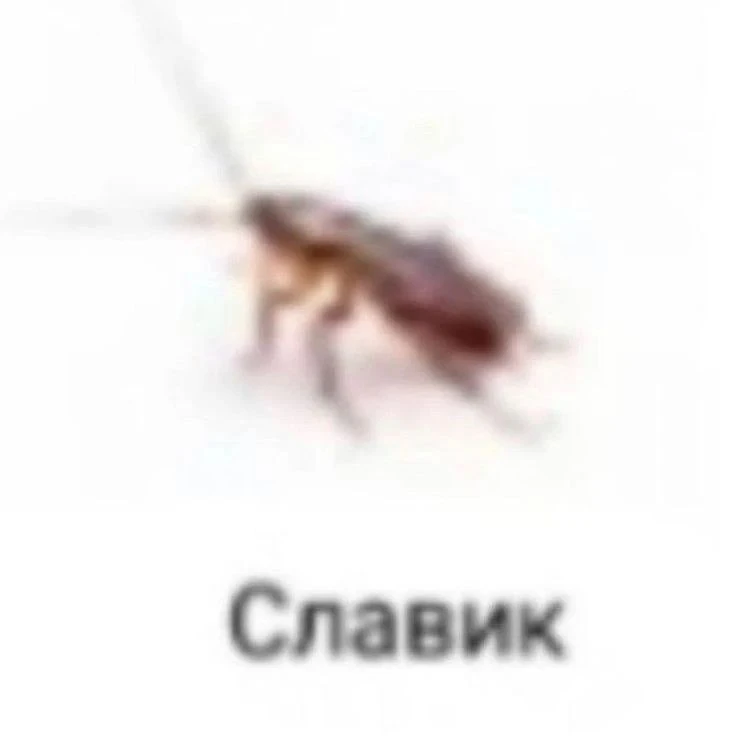 кидай славянку