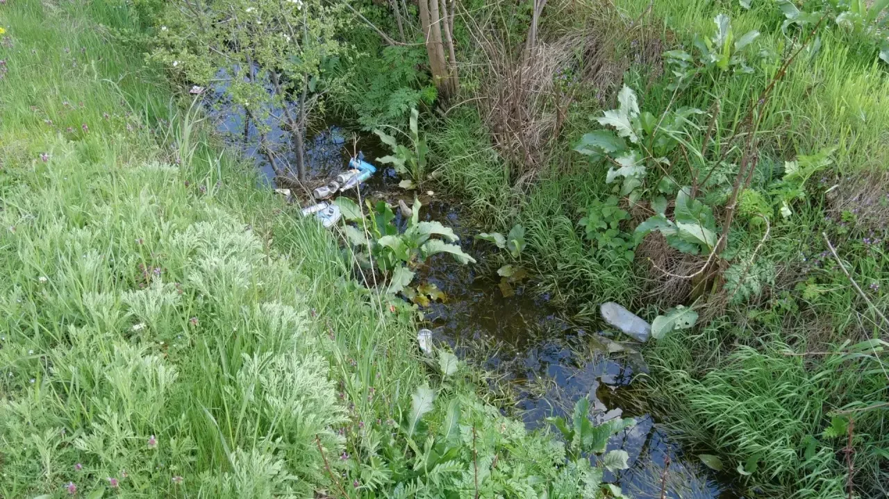 Сегодня посетил село Балахоновское.   Затяжные осадки привели к наполнению дренажных канав, поднятию