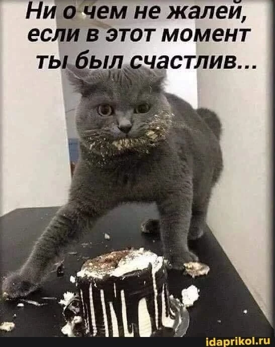 Ни о чем не жалейте!