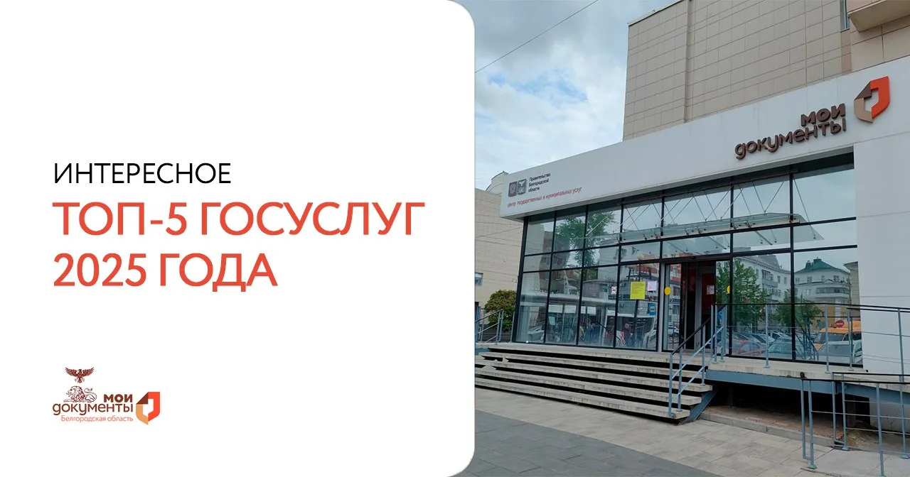 ТОП-5 госуслуг 2025 года по версии белгородцев   Какие услуги стали самыми популярными в отделениях 