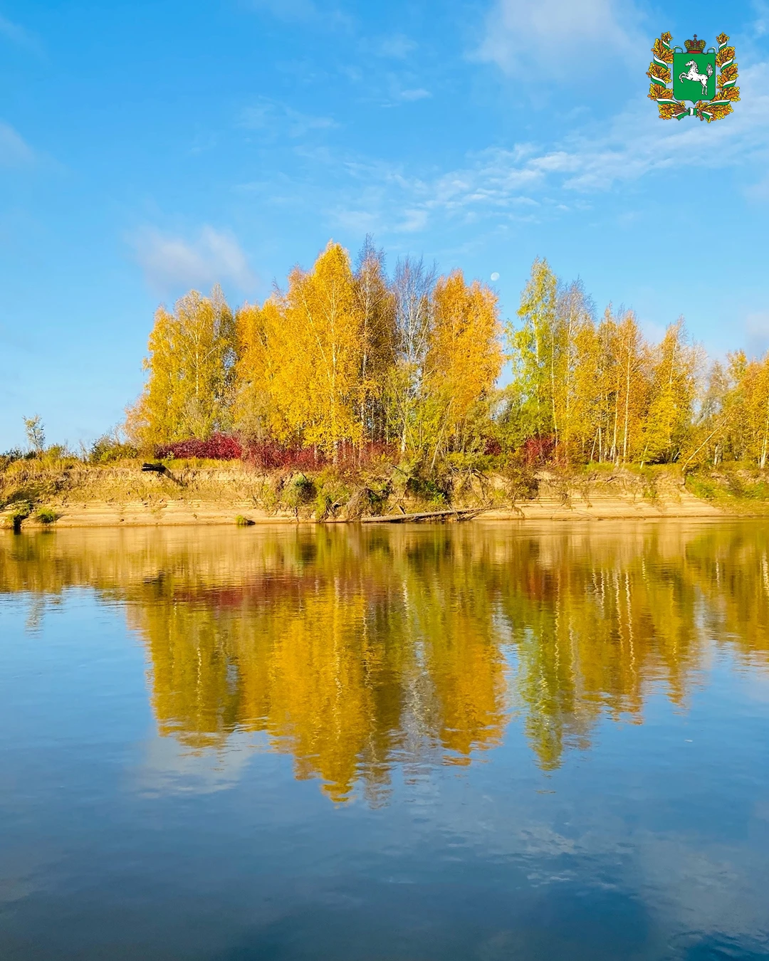 Осень на реке Кети, Колпашевский район 🍂