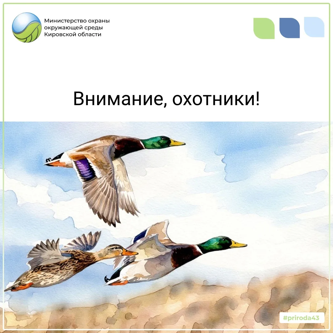 Открыта охота на пернатую дичь!
