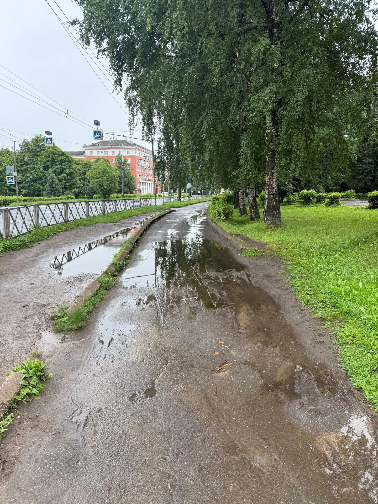 Особенности тротуаринга на Ленина!
