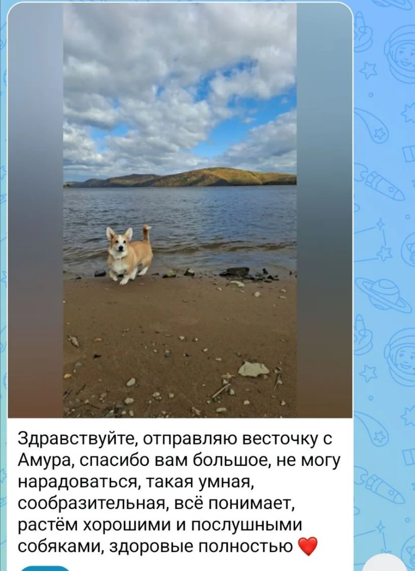 Привет от Ориши( Буся & Итон)из Амура🥰