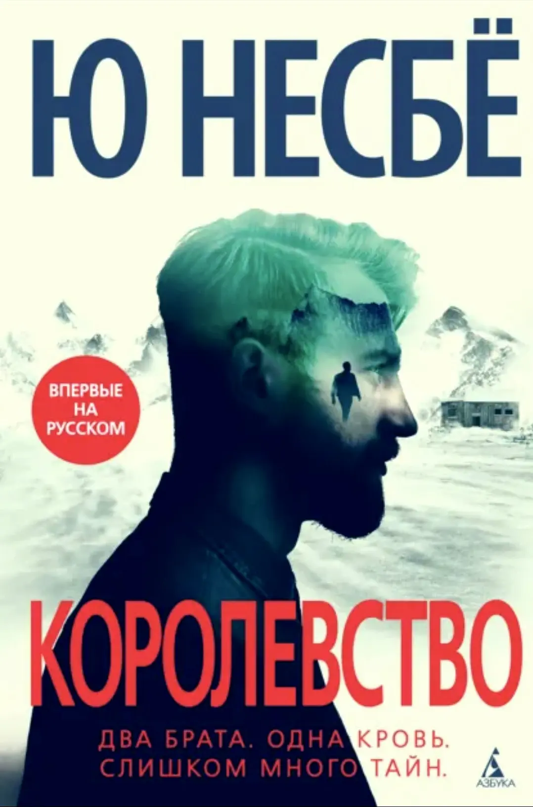 Роман "Королевство" Ю Несбё стал для меня неожиданным открытием и, признаюсь, первой его книгой, кот