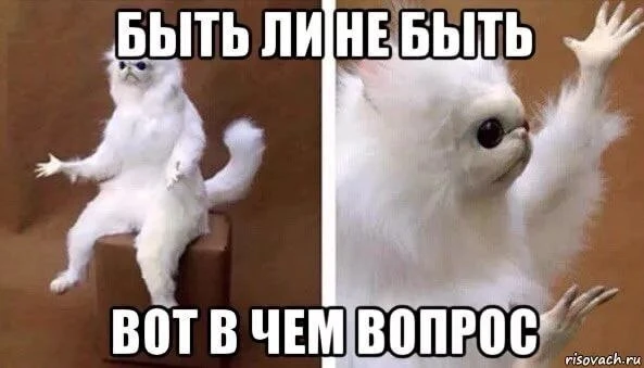 «Концерта Канье Уэста в России осенью не будет»: Что, опять?!
