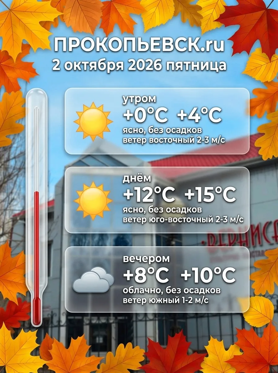 Пятница в Прокопьевске будет ясной и теплой.