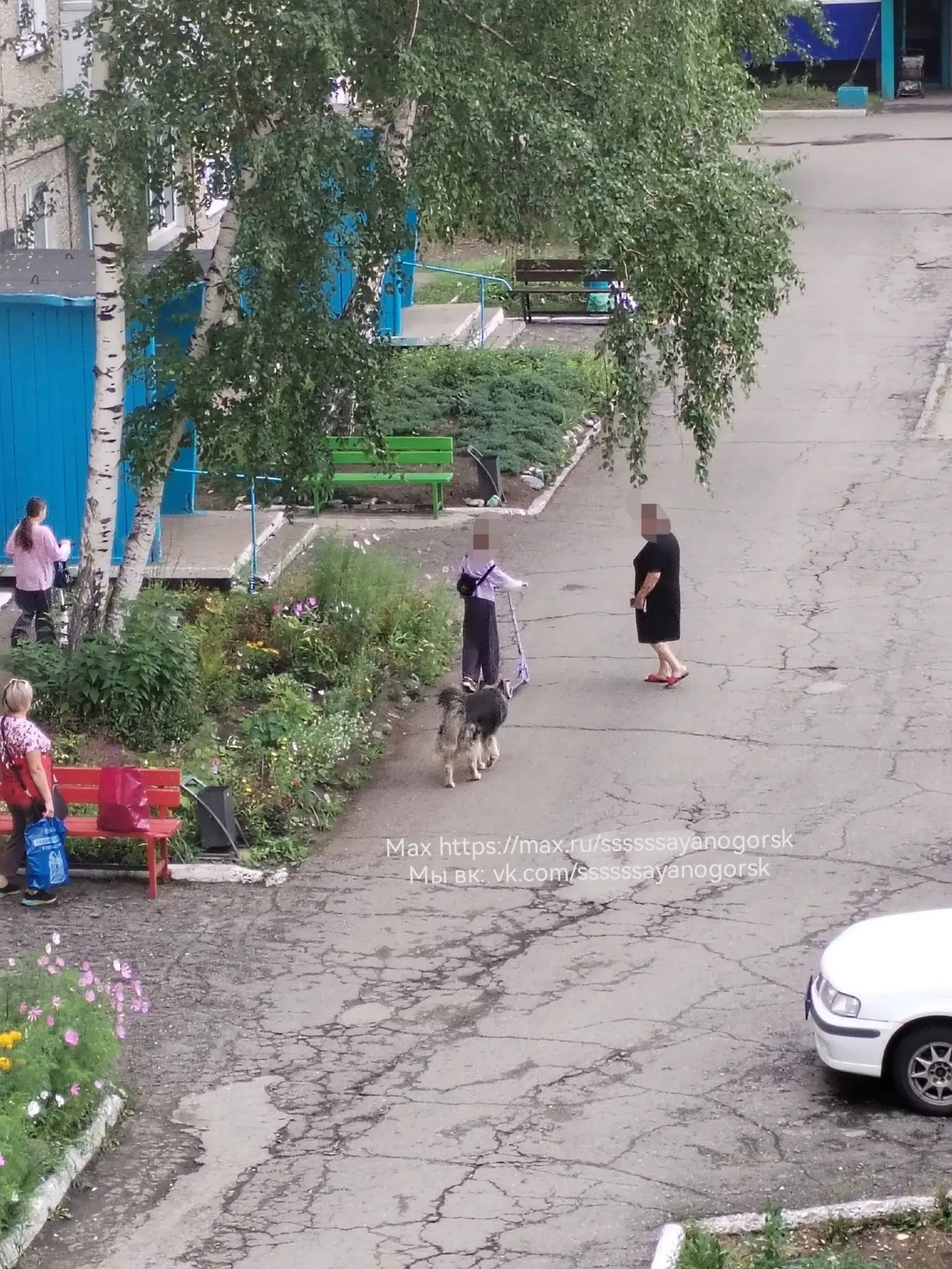 Добрый день, сегодня увидела как две девочки не могли уйти от собаки Заводской мкр 33, которая бездо