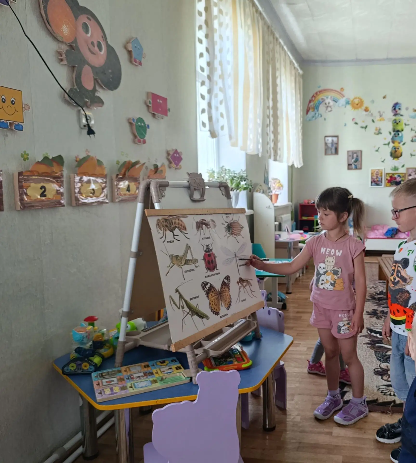 День стрекозы.
В детском саду — провели тематический день, посвящённый этим насекомым.  Целью этого 