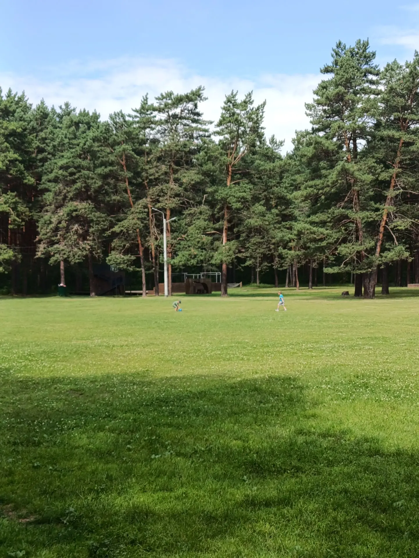 Ссору из-за мяча заказывали? 🤪🌲

Какое же это счастье, что у нас в городе есть настоящий Сосновый 