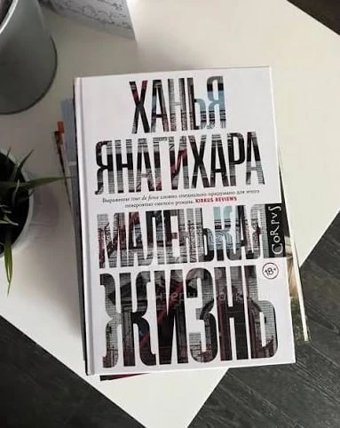 Роман Ханьи Янагихары «Маленькая жизнь» — это не просто книга, а настоящее эмоциональное землетрясен