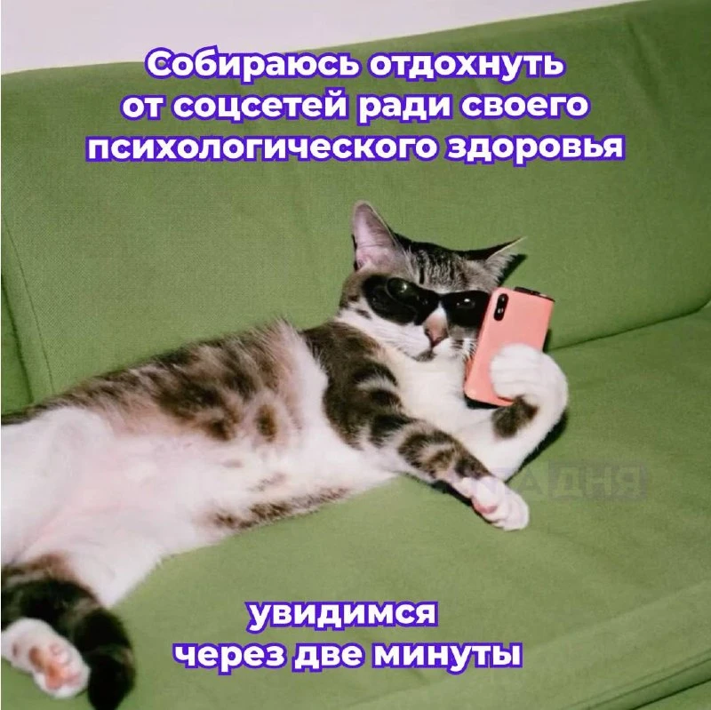 🤳 Россияне рассказали, сколько могут прожить без смартфона.