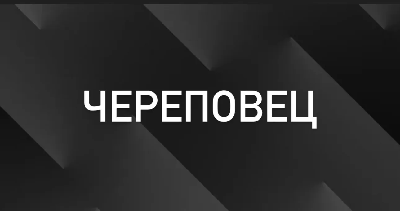 Попутчики