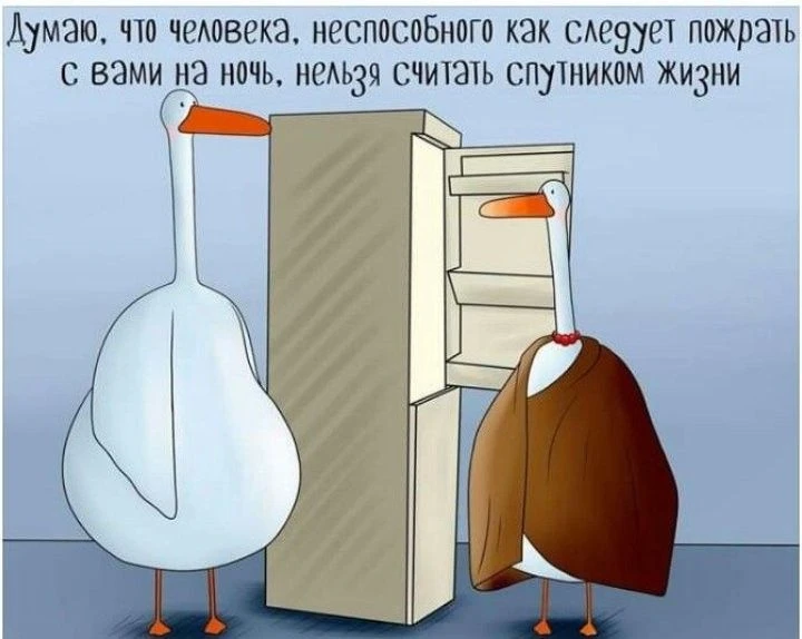 Подпишись, чтобы не потерять👇