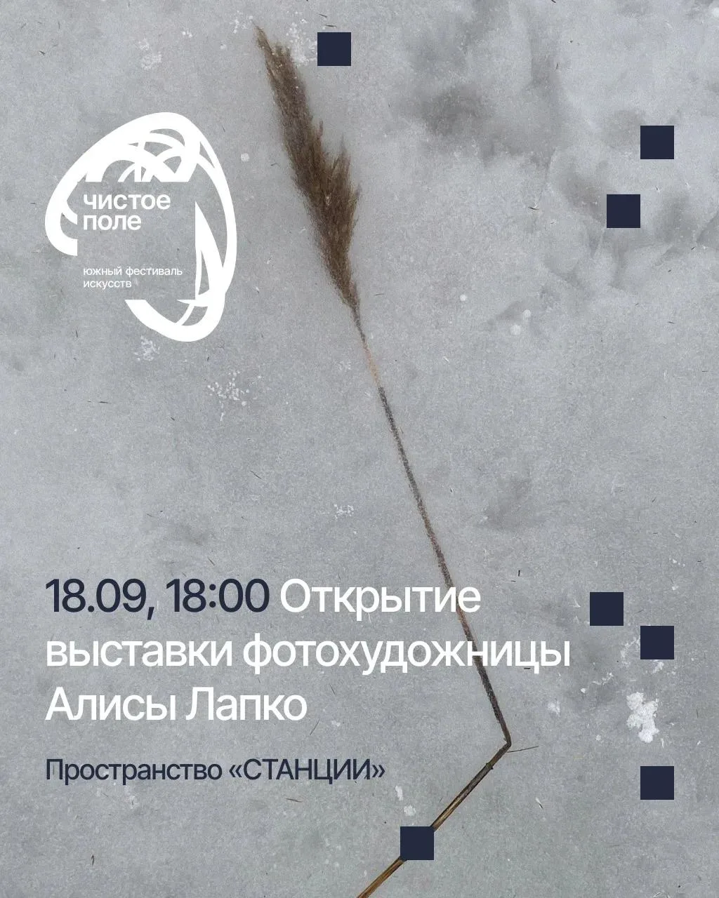 Дебютная персональная выставка Алисы Лапко — на фестивале «Чистое поле»!

Фотохудожница представит с