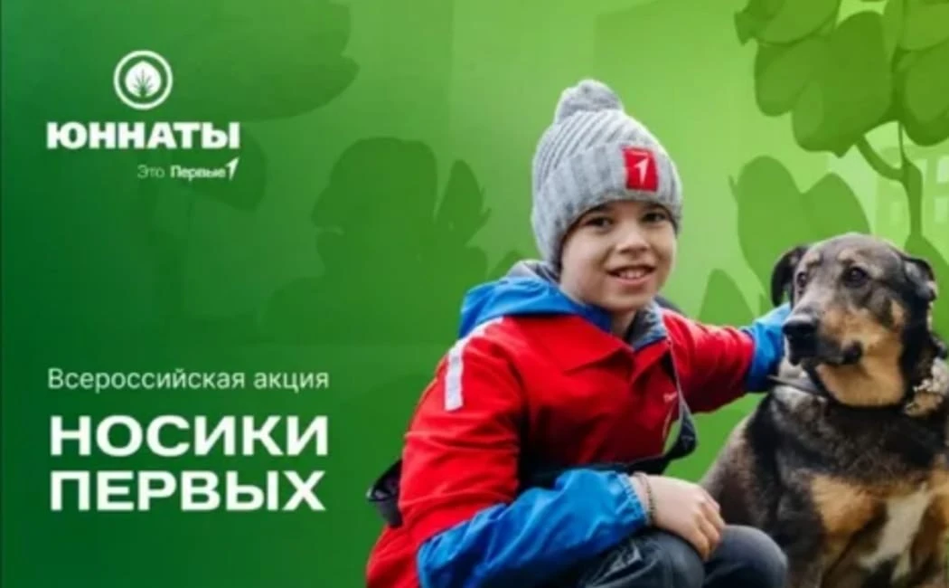Акция ""Носики Первых ".Куратор Движения Первых МКОУ"Ягдыгская СОШ √2", Маллакурбанова ...