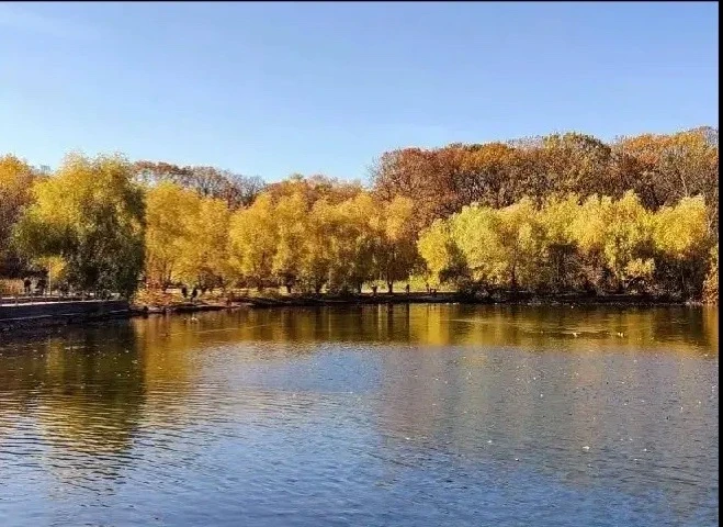 🌳 В Терлецком лесопарке проведут экскурсию о природе